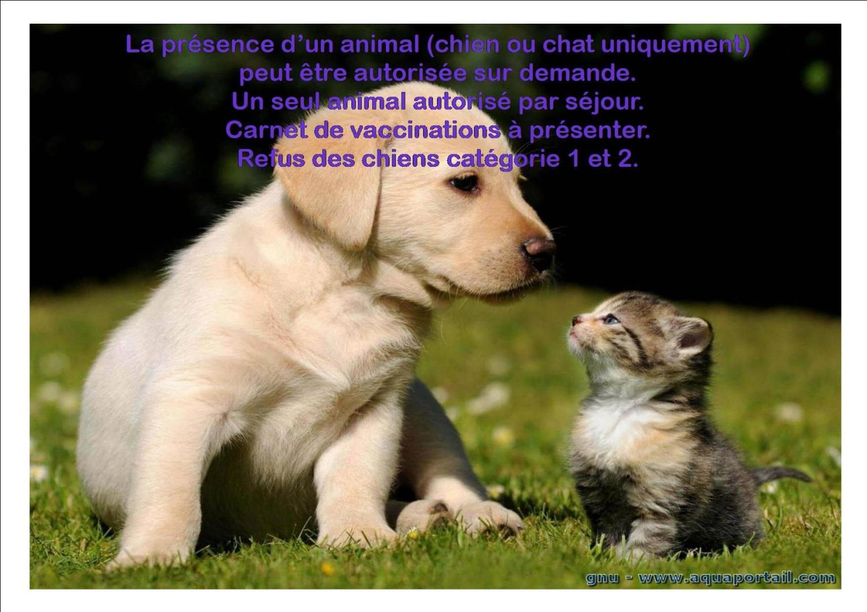 Le Gite Du Frene Poses Екстериор снимка